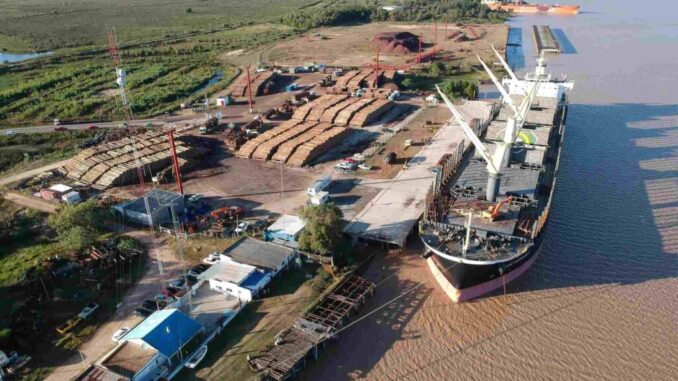 El puerto de Ibicuy se consolida como plataforma estratégica para la exportación de ganado en pie