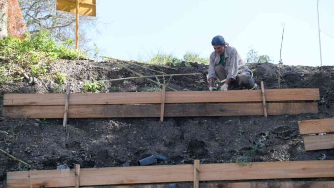Paraná celebró el Día del Árbol fortaleciendo su Plan de Arbolado Urbano