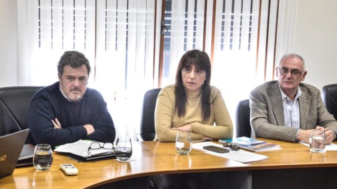 Comisiones: Senadores analizaron la creación del Régimen de Mecenazgo del Deporte
